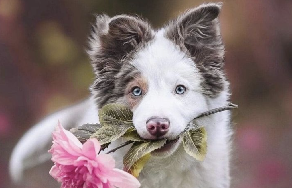 Screenshot 2025 10 28 at 6.12.48 PM